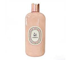 PET Блестящая лосьонная бутылка 250 мл 500 мл B36